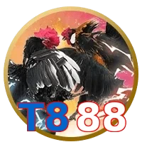 T888
