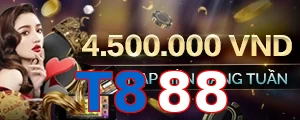 T888